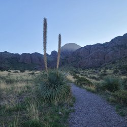 Soledad Canyon Loop