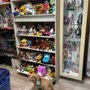 Photo of Tinkerbeee's Toy & Comic Store