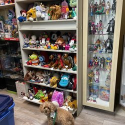 Tinkerbeee's Toy & Comic Store