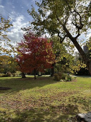 Halifax Public Gardens by null