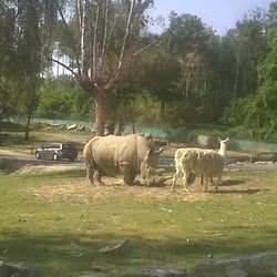 Safari Park