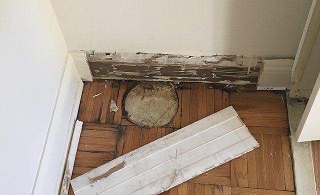 ESA Environmental Consultants - mold inspector in Middlesex, NJ