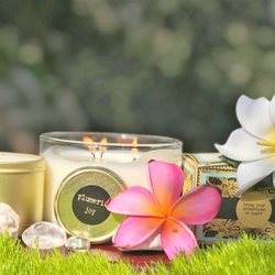 Objects With Purpose - Plumeria flowers, natures mood uplifter!