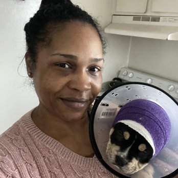 Capital Veterinary Specialists, Jax - Friday when they treated him for infection in his ears! - Emergency Pet Hospital Near Me - Jacksonville, Florida