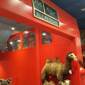 Hamleys - Toy Stores Near Me - London, XGL