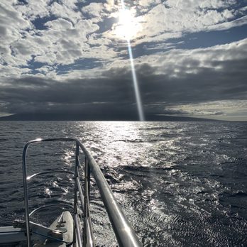 Sea Maui - Boat Charters Near Me - Lahaina, Hawaii