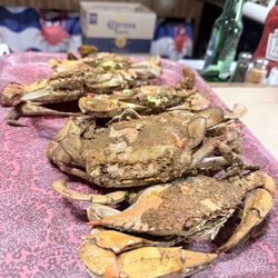 Lestardo's Crab House - Jumbo crabs
