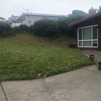 Andre Clippings - Lawn Services Near Me - San Pablo, California Andre Clippings - Lawn Services Near Me - San Pablo, California