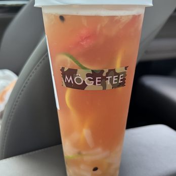 Moge Tee - Large Super Fruit Green Tea - Coffee & Tea Near Me - Tampa, Florida Moge Tee - Large Super Fruit Green Tea - Coffee & Tea Near Me - Tampa, Florida
