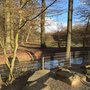 Photo of Wildgehege / Hirschpark