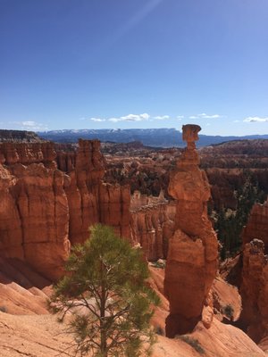 Canyon Fever Guides by null