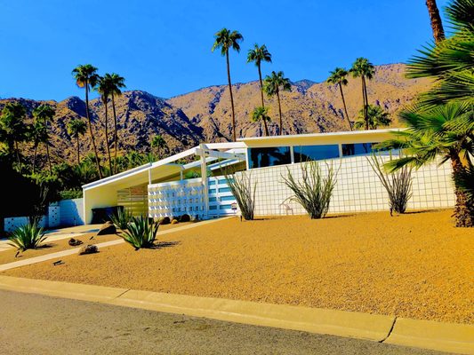 Palm Springs Mod Squad (Architecture Tours) by null