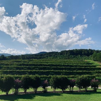 Victoria Valley Vineyards - Vineyard view - Wineries Near Me - Cleveland, South Carolina Victoria Valley Vineyards - Vineyard view - Wineries Near Me - Cleveland, South Carolina