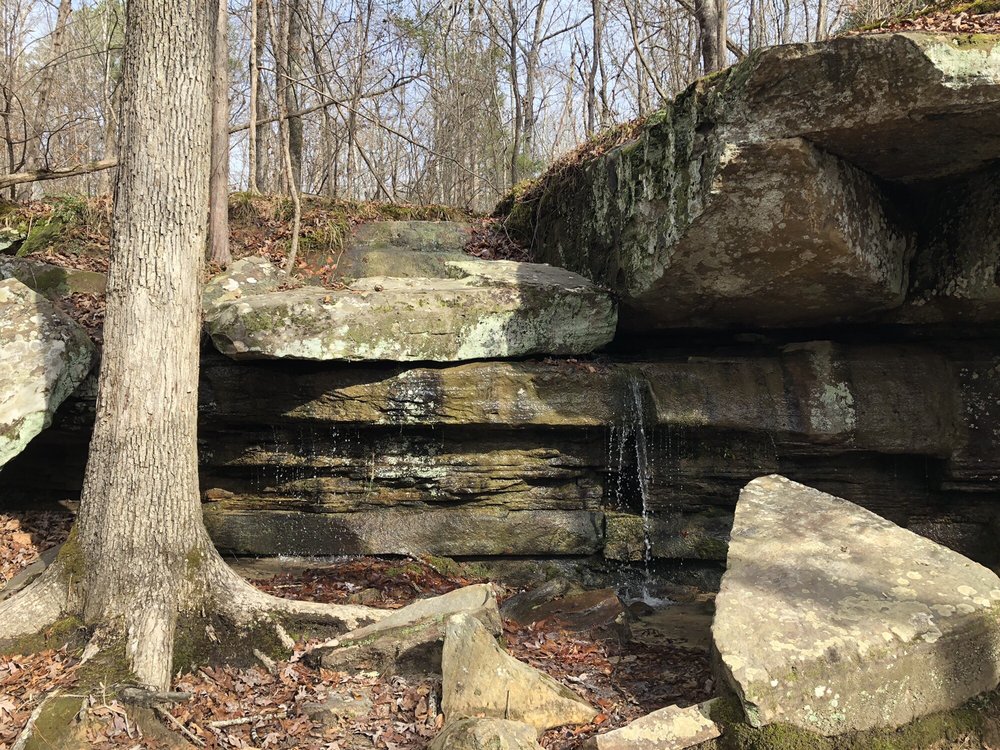 TISHOMINGO STATE PARK 80 Photos & 18 Reviews 105 State Park Rd