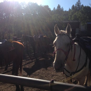 Rusty Spurr Ranch - Horses! - Horseback Riding Near Me - Kremmling, Colorado