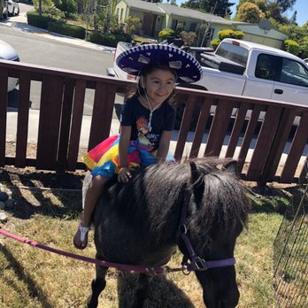 Most Unique Parties and Ponies - Party & Event Planning Near Me - Boulder Creek, California