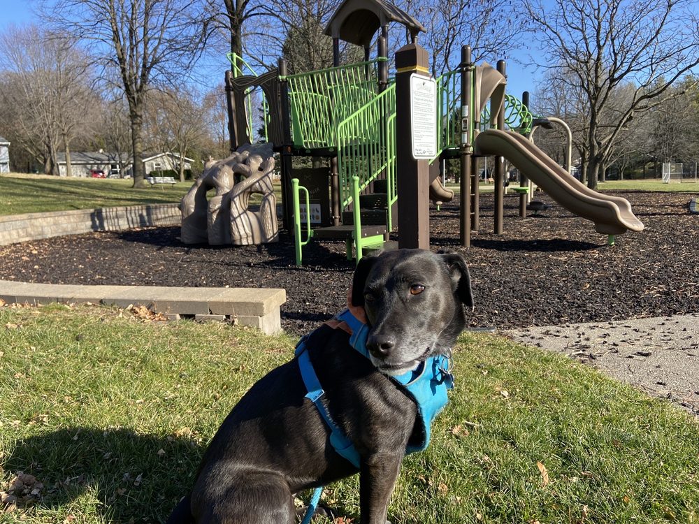 WALTHAM PARK Updated May 2024 2617 Waltham Rd, Madison, Wisconsin