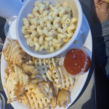 PHX Beer - Kids Mac and Cheese - American Near Me - Scottsdale, Arizona PHX Beer - Kids Mac and Cheese - American Near Me - Scottsdale, Arizona