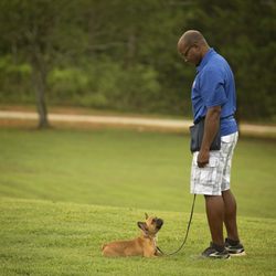 Ashley Hills Pet Center - Training with Logan