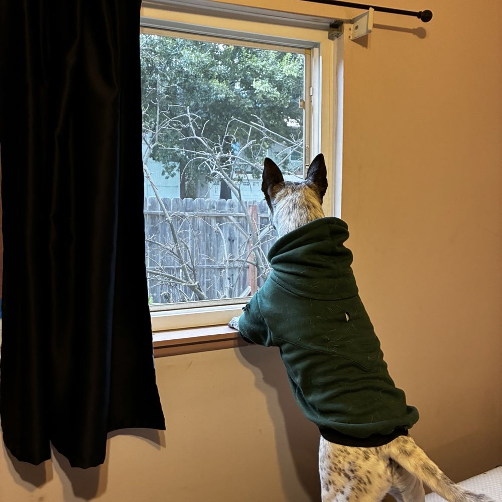 Watching you leave Watching you leave