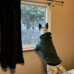 Watching you leave