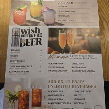 Tiger Dumplings - Drinks - Noodles Near Me - Arlington, Virginia