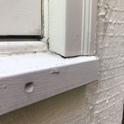 All Season Window Restoration