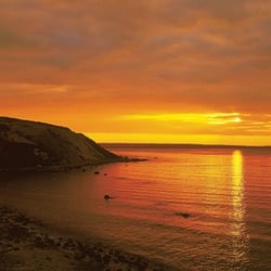 Martha's Vineyard Eco Adventures