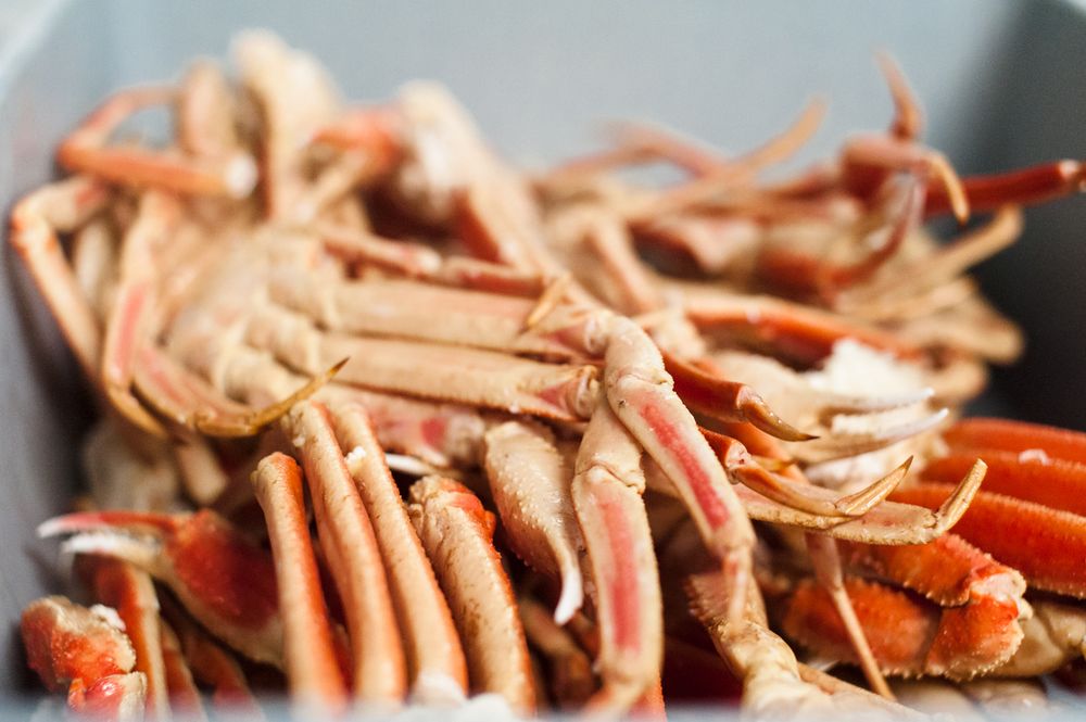 CRAB KING II Updated September 2024 34 Photos & 11 Reviews 2857 Tobacco Rd, Hephzibah