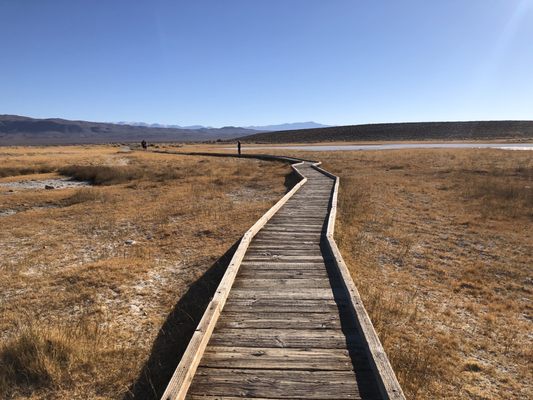 Wild Willy's Hot Spring by null