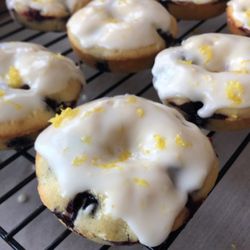 Miss Kitty’s Treats - Fresh blueberry lemon baked donuts