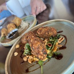 Crispy Chicken Dumplings