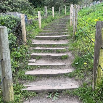 Battery East Trail - Walking Tours Near Me