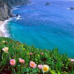 Jennifer Henry, Psychic Medium - Www.MyUniversityofLight.com
