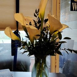 Albert's Flowers - Pretty cala lilies for my long time dear friend, MJ. Same day delivery. Thanks much Albert's!