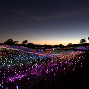 Sensorio - The Field of Lights just after sunset in June. - Art Galleries Near Me - Paso Robles, California