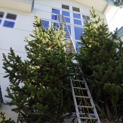 Master Window Cleaning