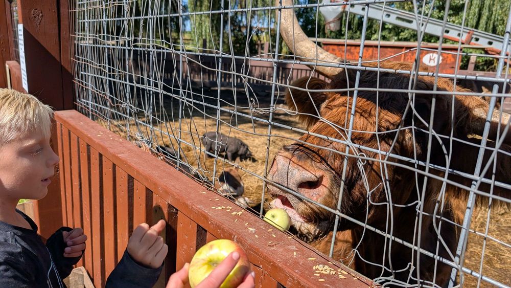 FALL HARVEST ORCHARD - Updated August 2025 - 28 Photos & 24 Reviews ...