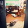 Photo of 羅用手作／Ding Cut