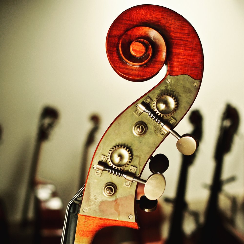 BASS VIOLIN SHOP 86 Photos 523 N Cedar St, Greensboro, North