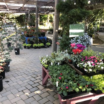 Cambria Nursery and Florist - Nurseries & Gardening Near Me - Cambria, California Cambria Nursery and Florist - Nurseries & Gardening Near Me - Cambria, California