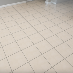 Powerpro Carpet Cleaning of NJ - what a great job cleaning tile and grout.