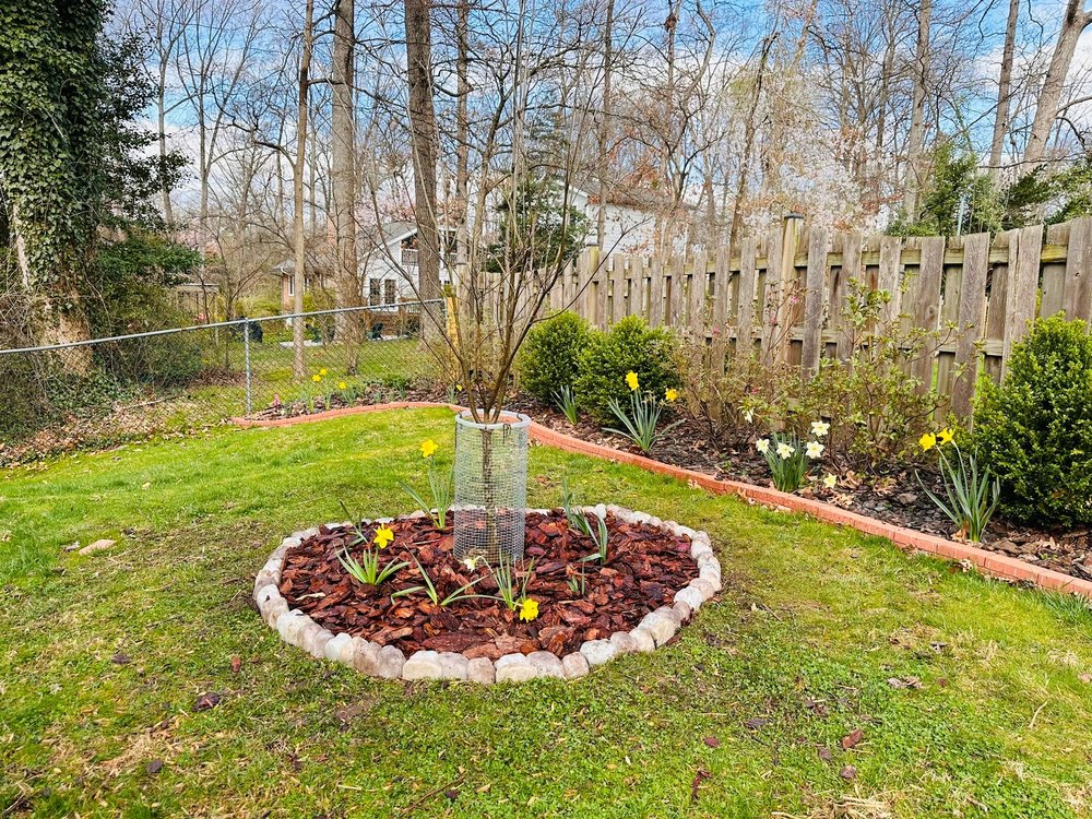 Slide of John’s Services