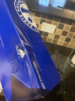 baby g shock dillards