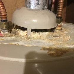 Pillar To Post Home Inspectors - Nick Plante