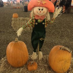 Seasonal Adventures Pumpkin Patch & Trees - 10/14/23