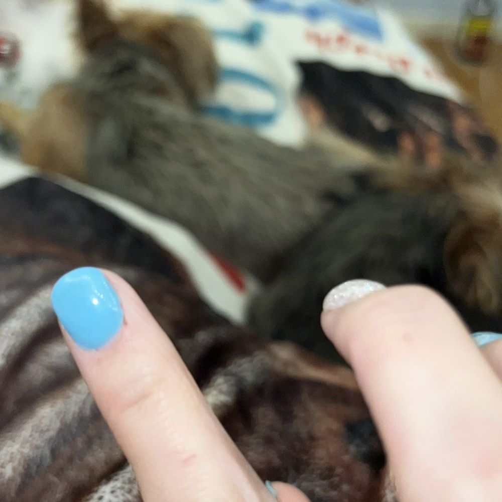 Nail Envy - Cutting my cuticle and cut me, I was bleeding it hurts. - Nail Salons Near Me - Stockton, California Nail Envy - Cutting my cuticle and cut me, I was bleeding it hurts. - Nail Salons Near Me - Stockton, California