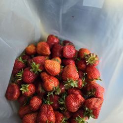 Hann Farms Market