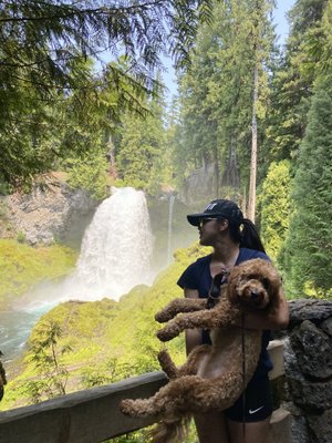 Sahalie Falls by null