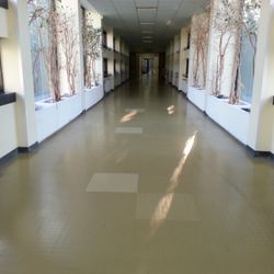 Ospedale Giovan Battista Grassi - Chirurgia